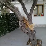 Feriehus Marechiaro Foce Varano